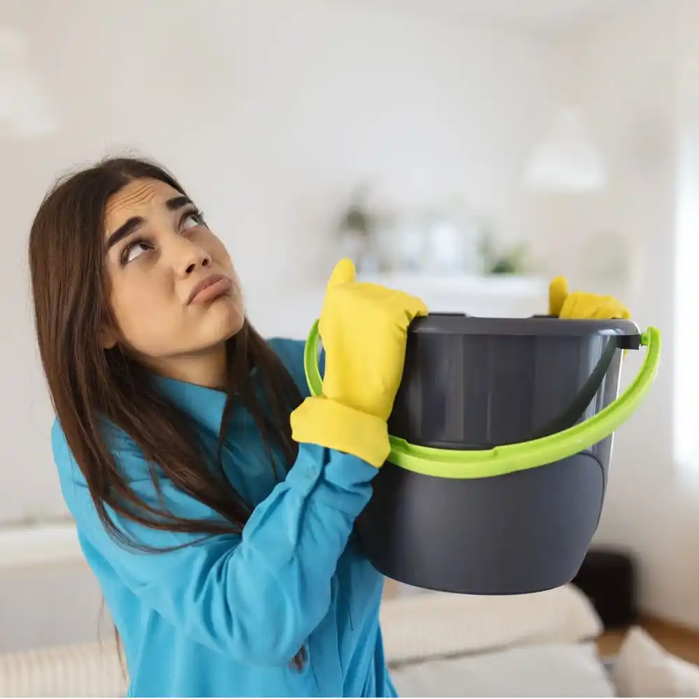 water damage restoration service Mesilla